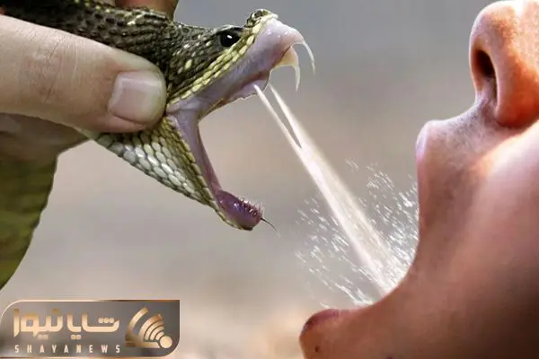 Wp Header Logo 3141.png