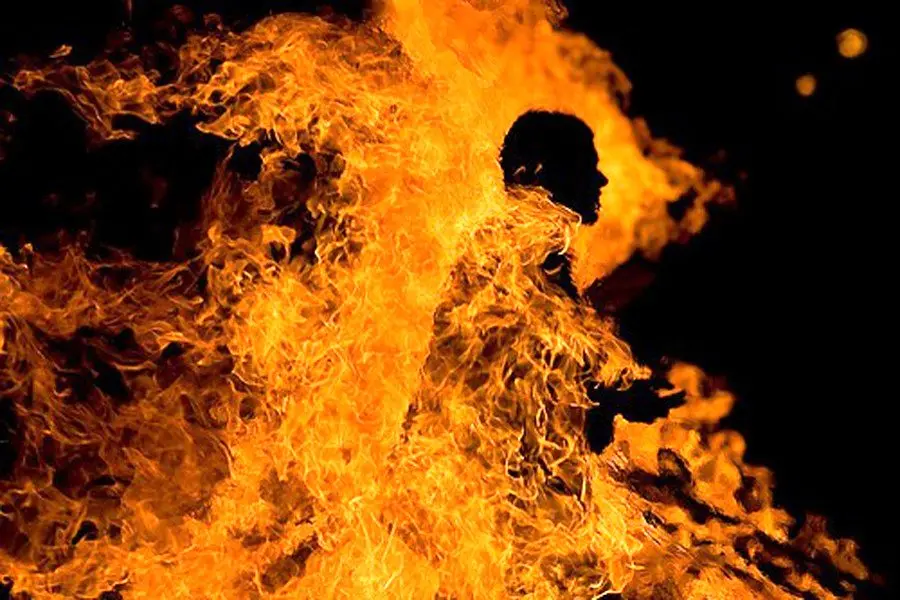 Wp Header Logo 3168.png