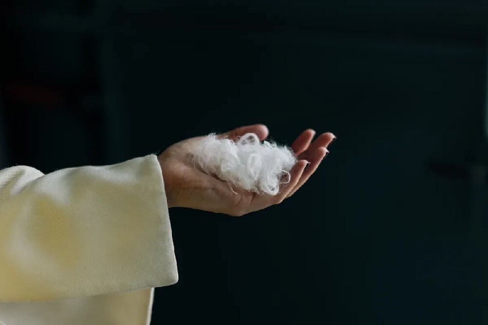 Wp Header Logo 3194.png