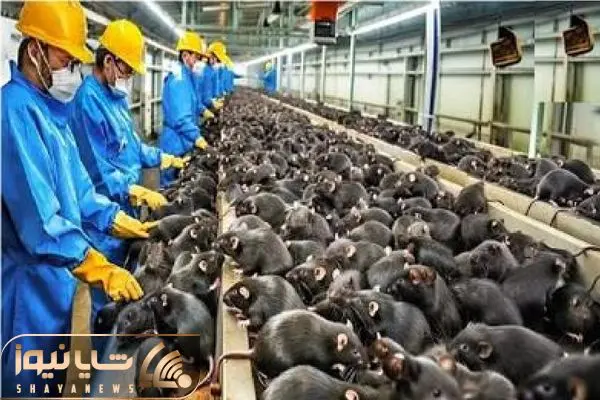 Wp Header Logo 3244.png