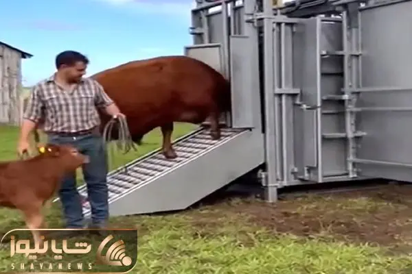 Wp Header Logo 3408.png