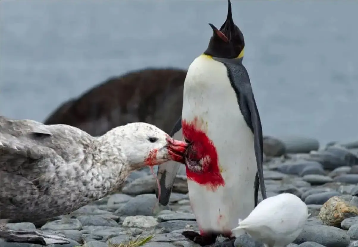 Wp Header Logo 3496.png