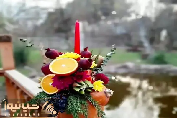 Wp Header Logo 3498.png