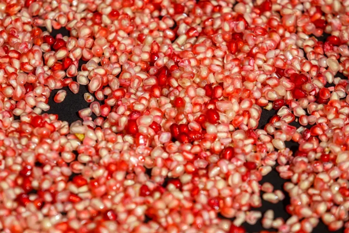 Wp Header Logo 3501.png