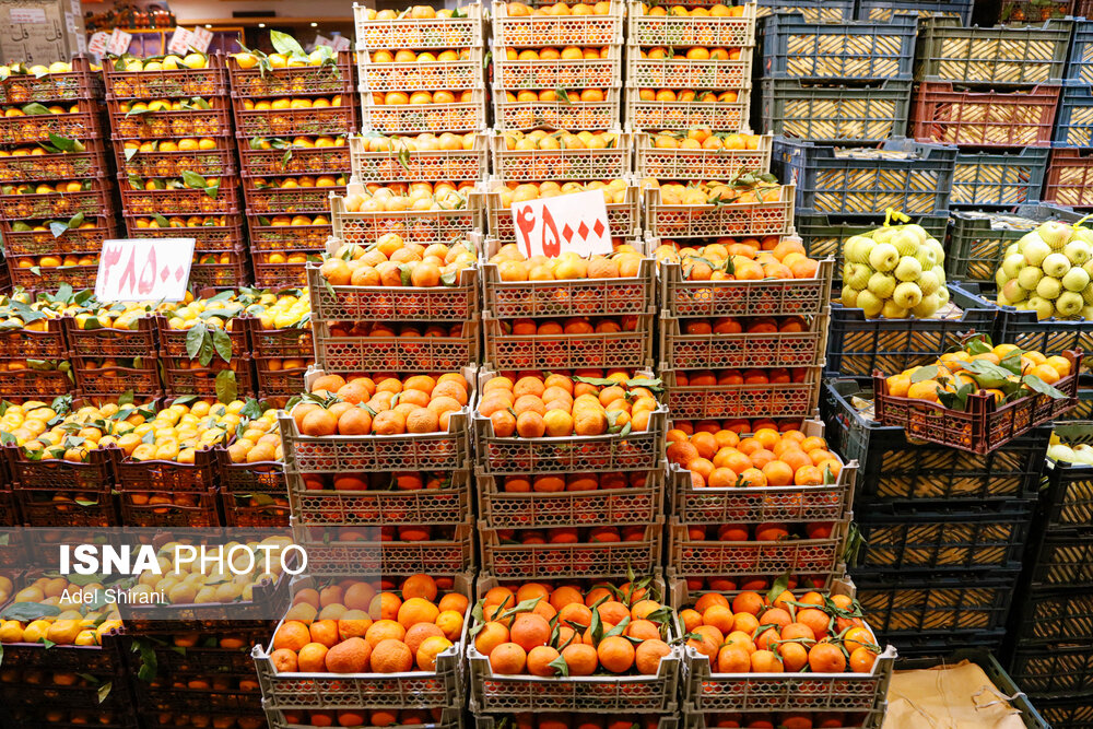 Wp Header Logo 3504.png