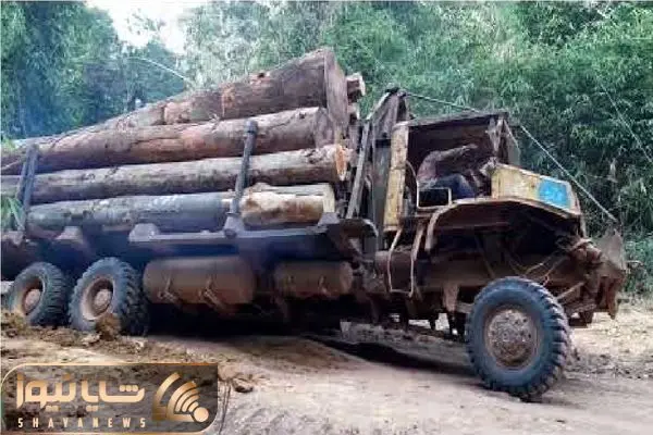 Wp Header Logo 3567.png