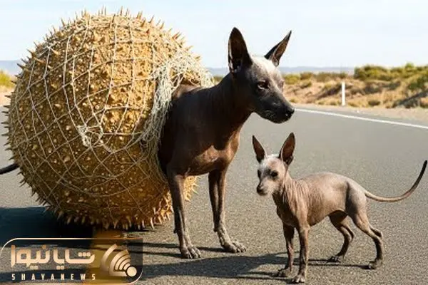 Wp Header Logo 3568.png