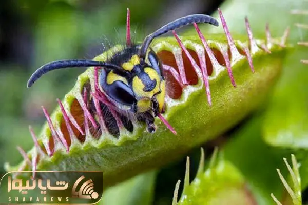 Wp Header Logo 3587.png