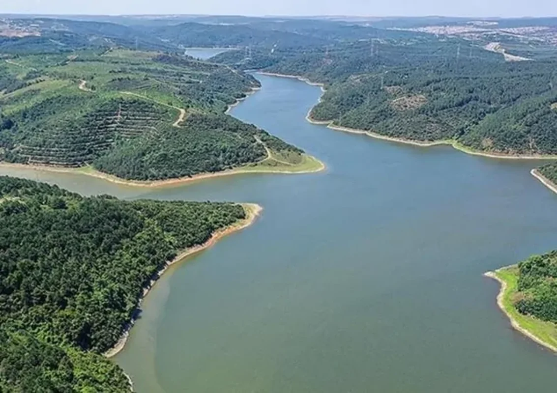 Wp Header Logo 3609.png