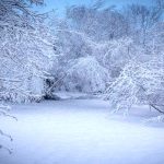 بارش برف تعدادی از راه های روستایی اردستان را مسدود کرد