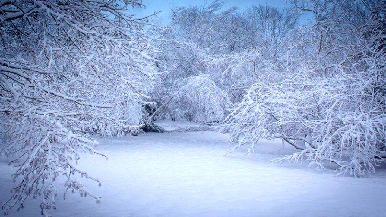 Wp Header Logo 3753.png