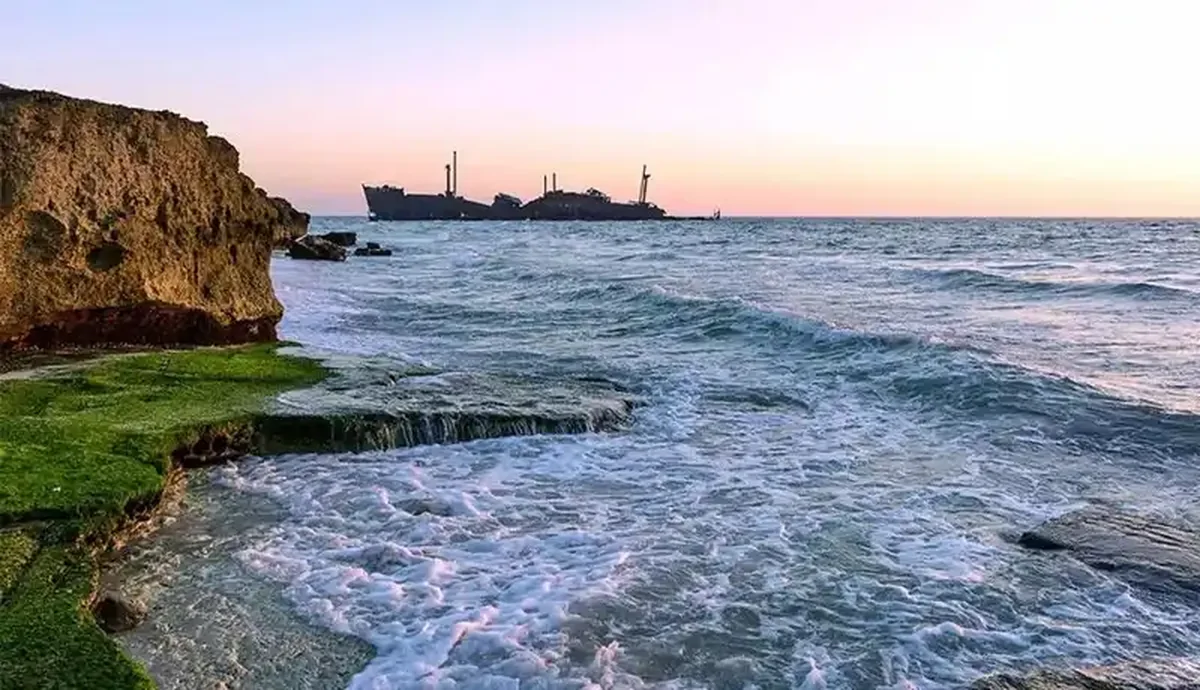 Wp Header Logo 3756.png