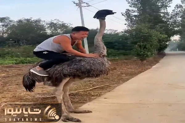 Wp Header Logo 3768.png