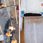 کاهش ۲۶ درصدی انتشار کربن با تبدیل ضایعات قهوه به بتن؛ جهشی بزرگ در ساخت‌وساز پایدار