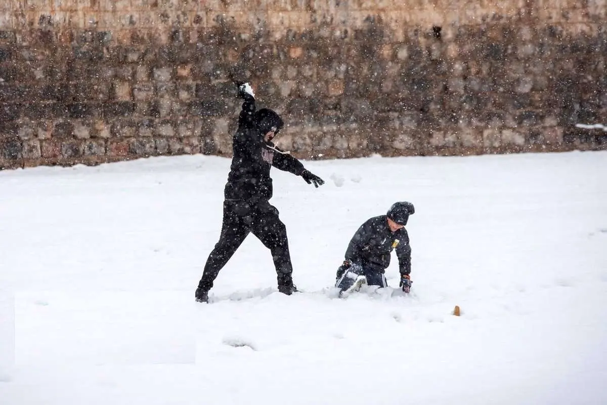 Wp Header Logo 3808.png