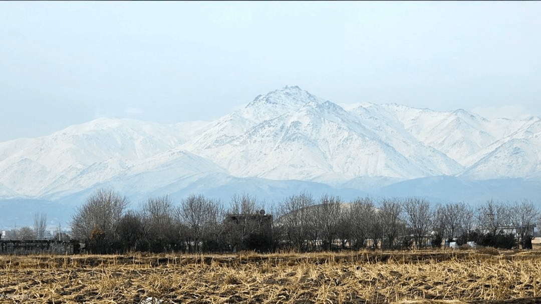 Wp Header Logo 3901.png