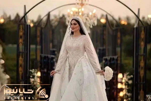 Wp Header Logo 3962.png