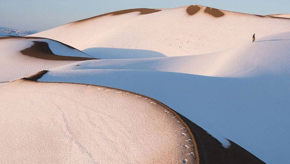 Wp Header Logo 3974.png