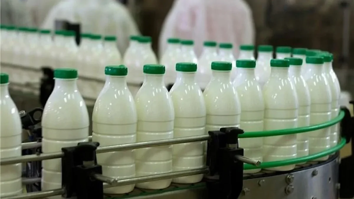 Wp Header Logo 4112.png