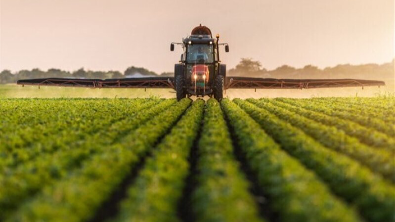 Wp Header Logo 42.png