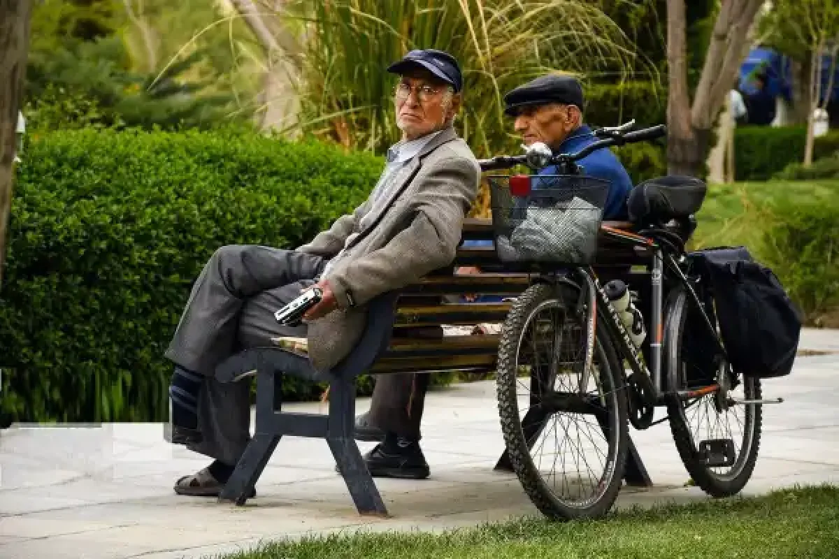 Wp Header Logo 4434.png