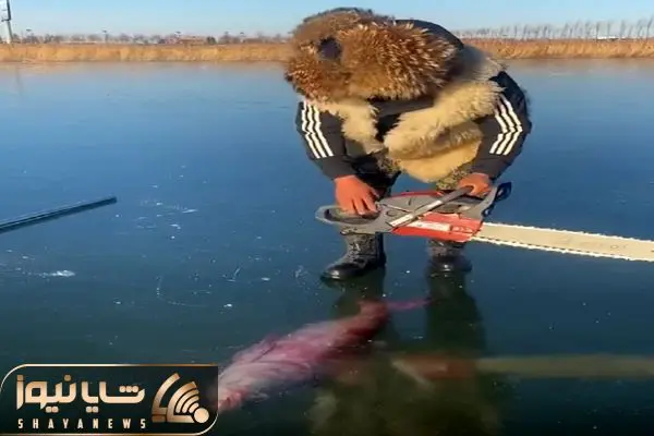 Wp Header Logo 4544.png