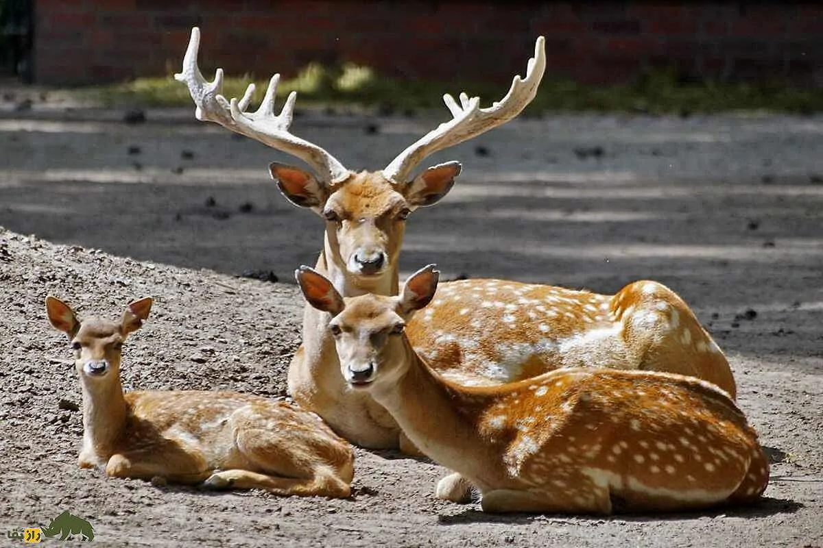 Wp Header Logo 4548.png