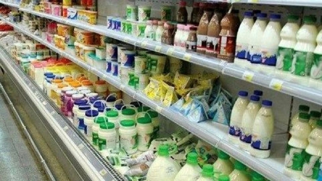 Wp Header Logo 4613.png