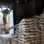 کاهش 10 درصدی سیمان در هشت ماهه امسال