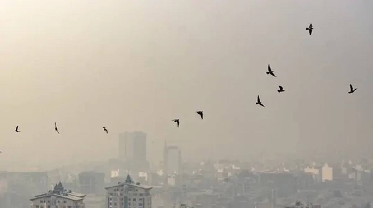 Wp Header Logo 482.png