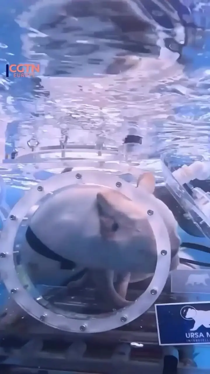 Wp Header Logo 4884.png