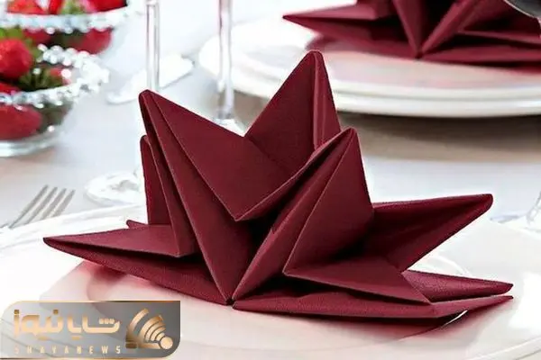 Wp Header Logo 4937.png