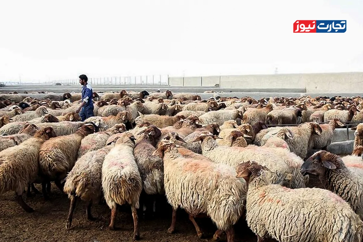 Wp Header Logo 4941.png