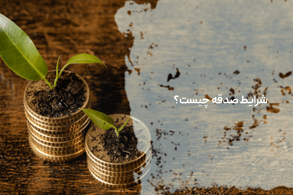 Wp Header Logo 5001.png