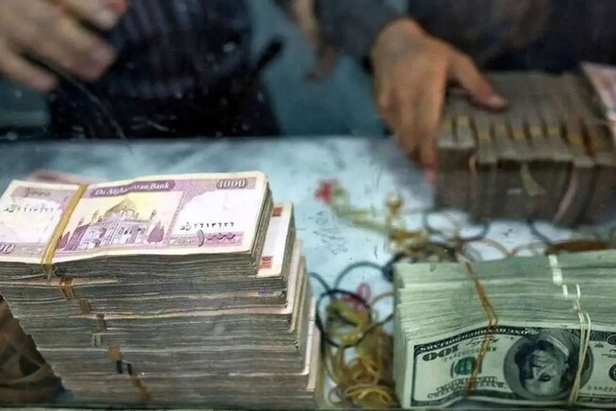 Wp Header Logo 5015.png