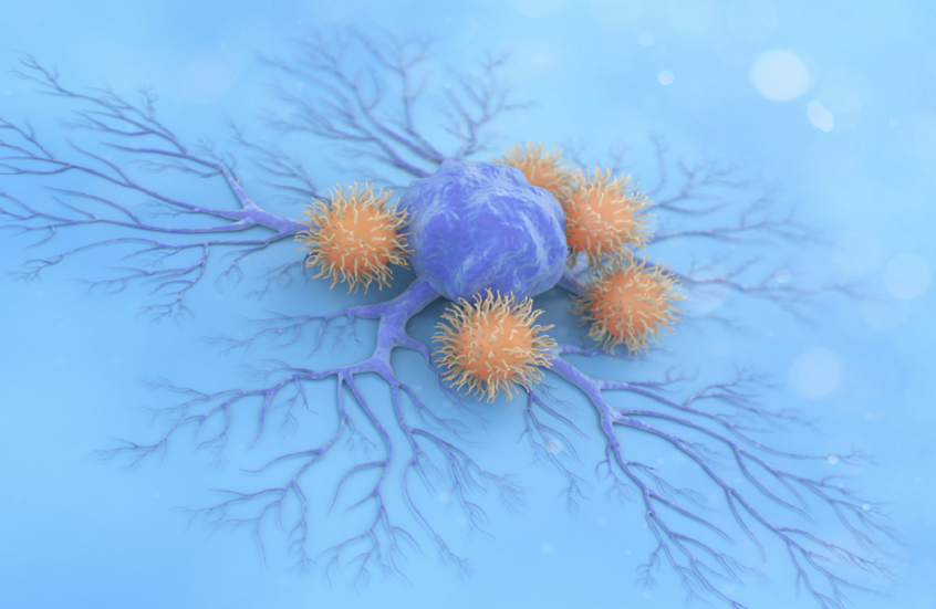 Wp Header Logo 5020.png