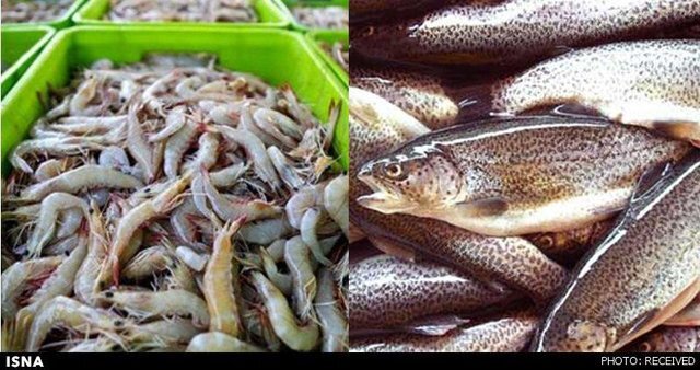 Wp Header Logo 503.png