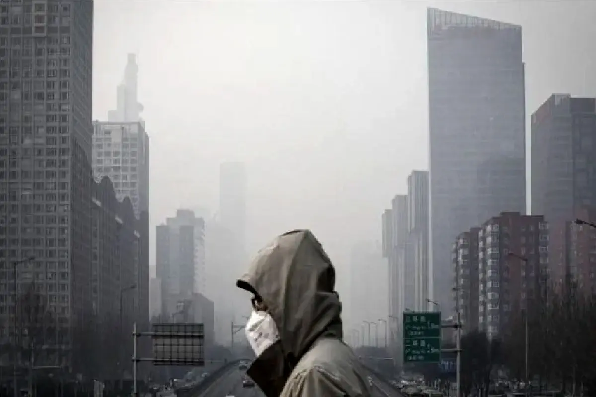 Wp Header Logo 5033.png