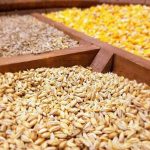 نیاز ماهانه یک میلیون تن نهاده دامی در کشور