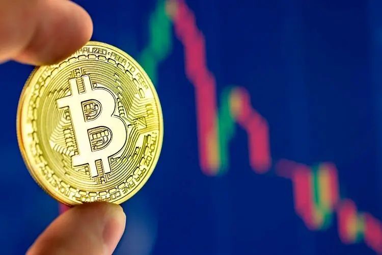 Wp Header Logo 509.png