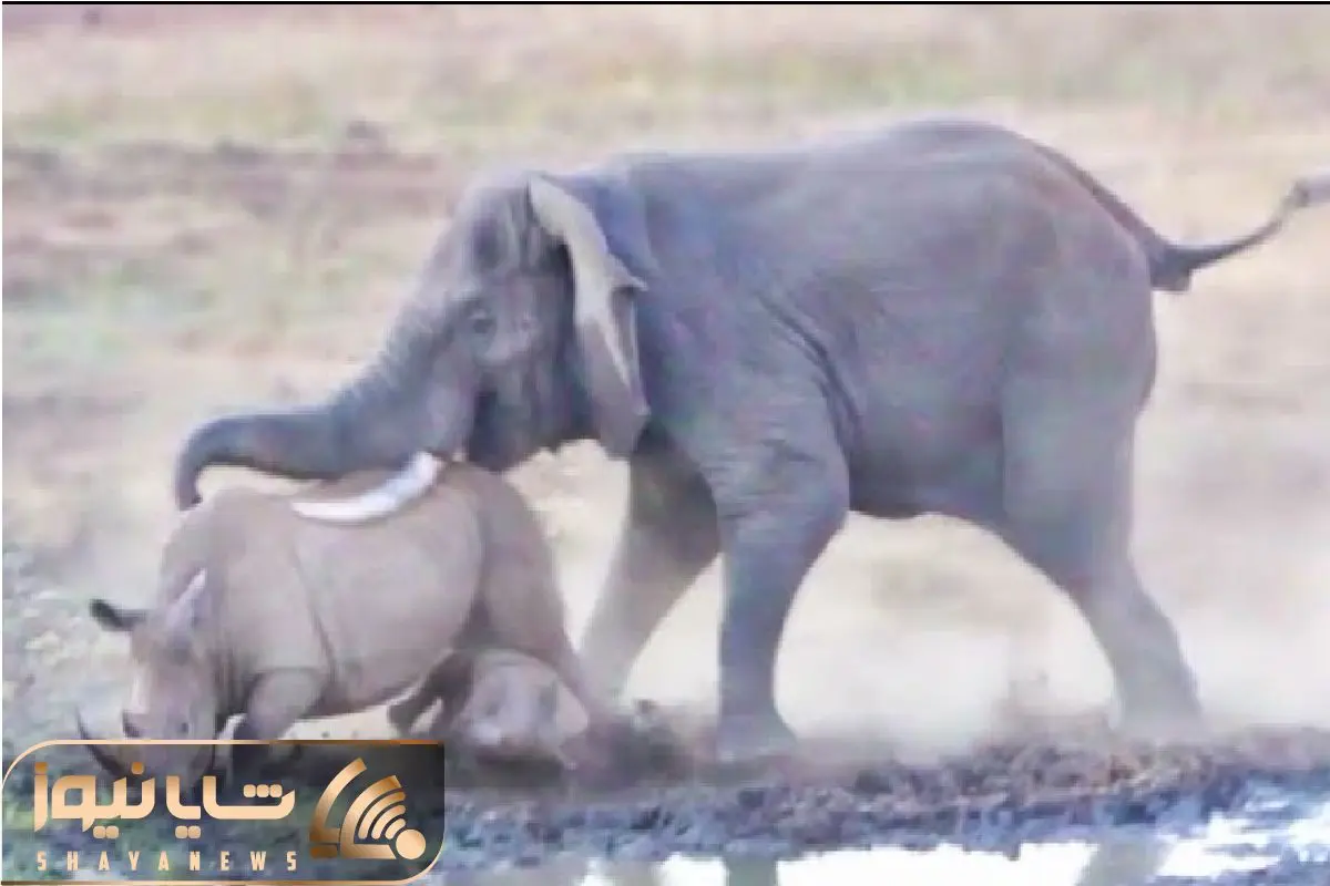 Wp Header Logo 51.png