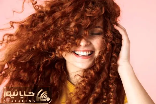 Wp Header Logo 5105.png