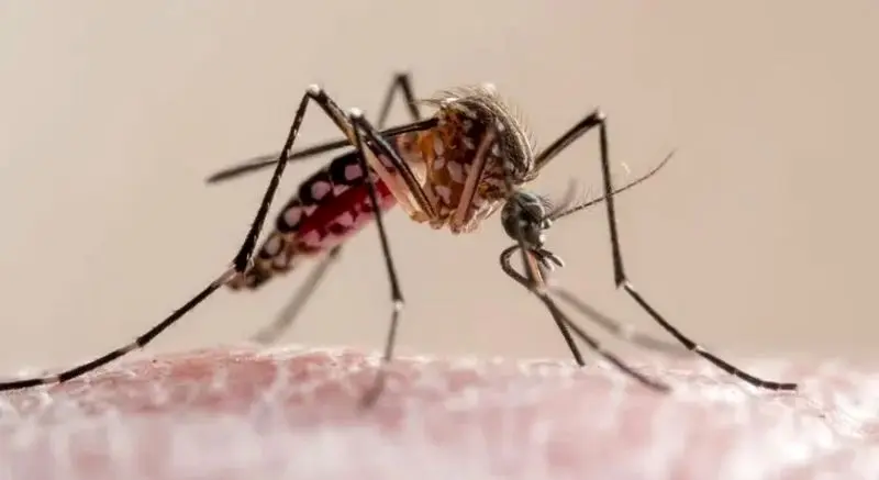 Wp Header Logo 5148.png