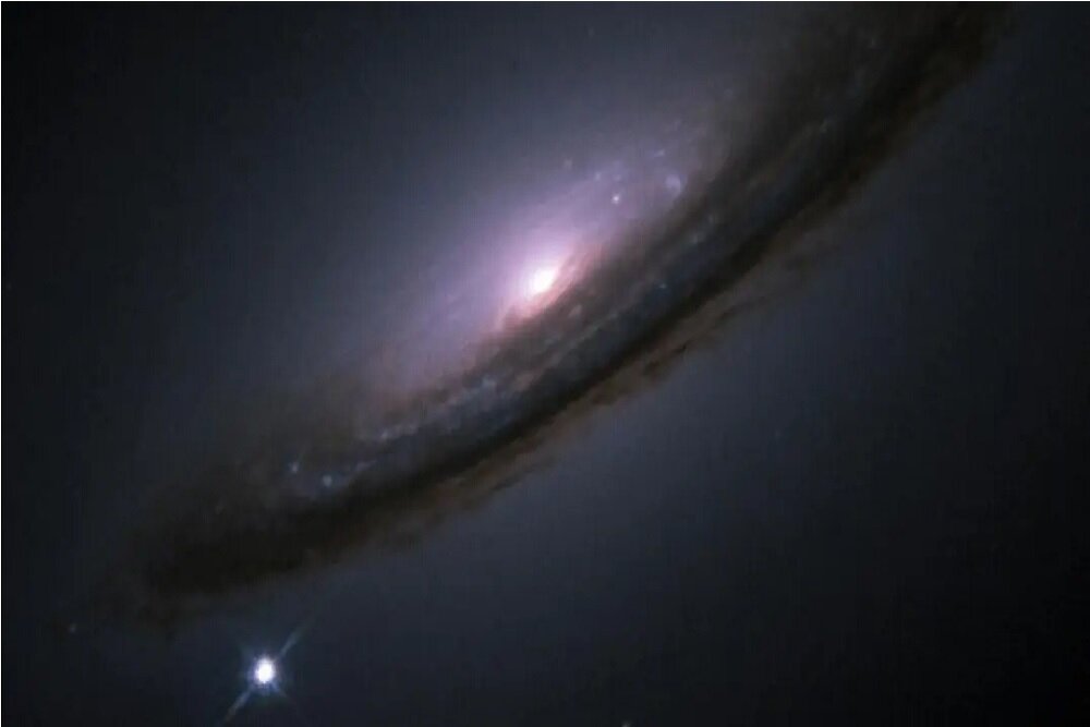 Wp Header Logo 5168.png