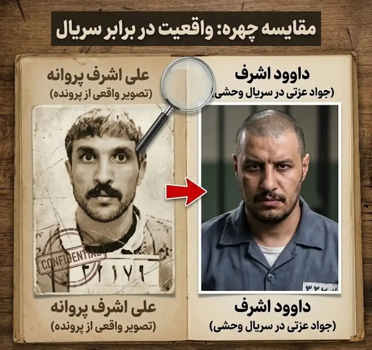 Wp Header Logo 5231.png