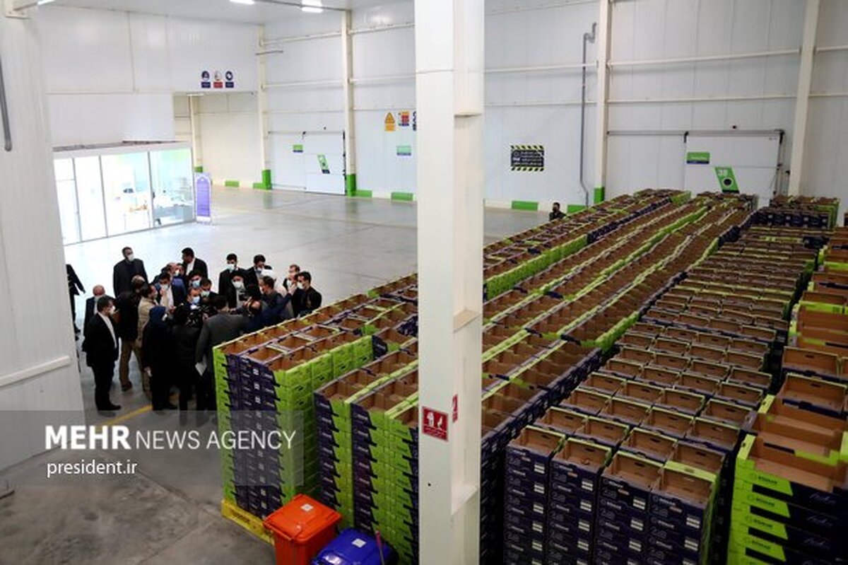 Wp Header Logo 5284.png