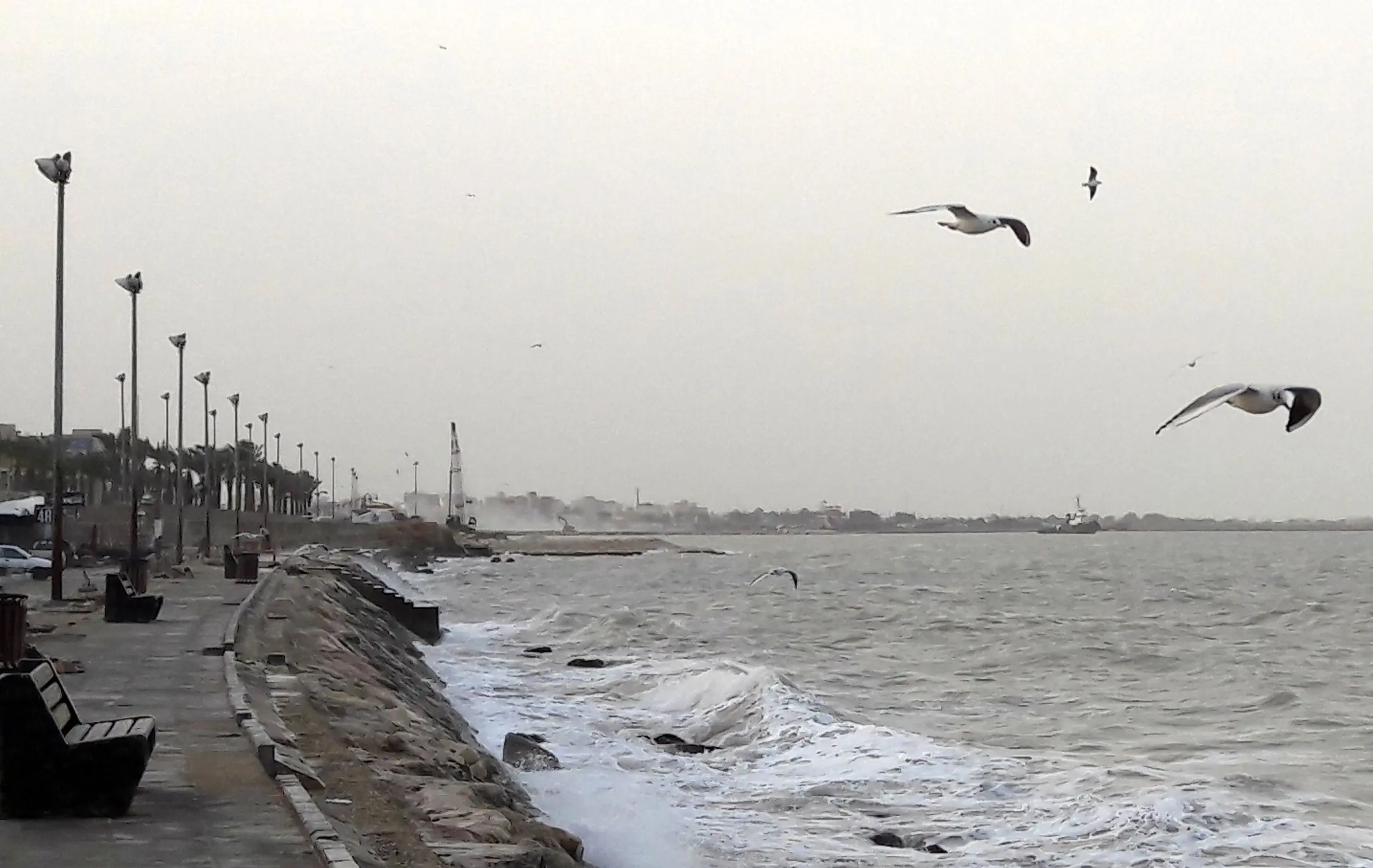 Wp Header Logo 608.png