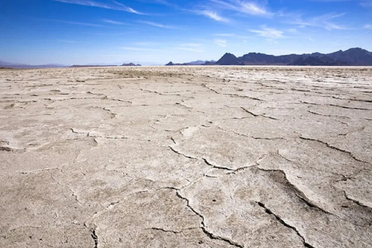 Wp Header Logo 630.png