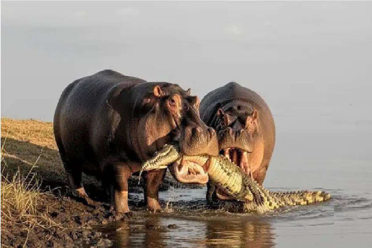 Wp Header Logo 675.png