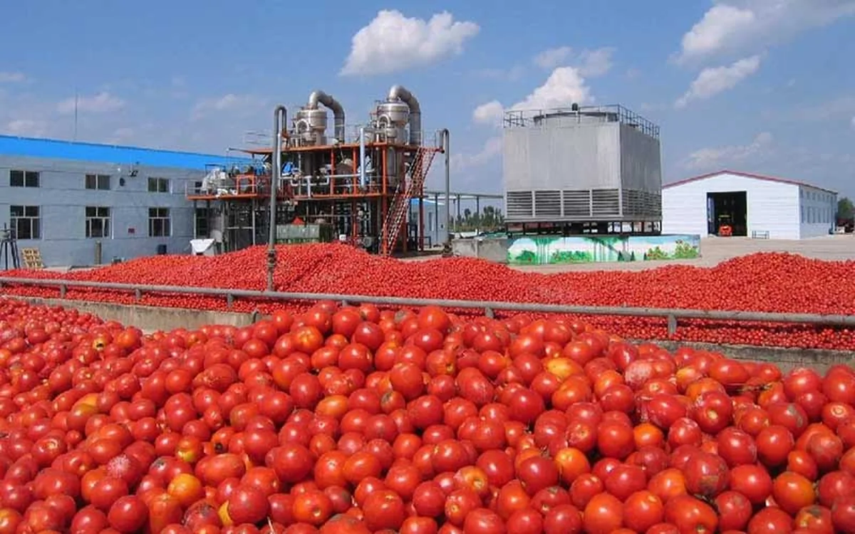 Wp Header Logo 71.png